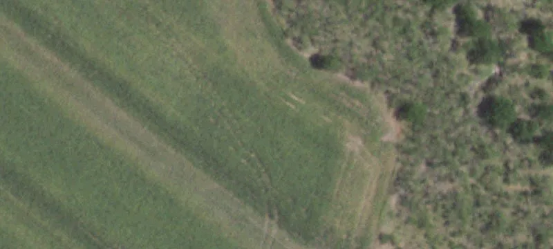 Agricultural Land Tract with Utilities