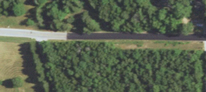 Recreational Pasture and Timber Land