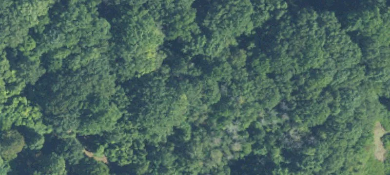 Waterfront Access Land Parcel