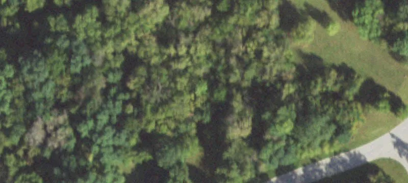 Wooded Residential Building Lot