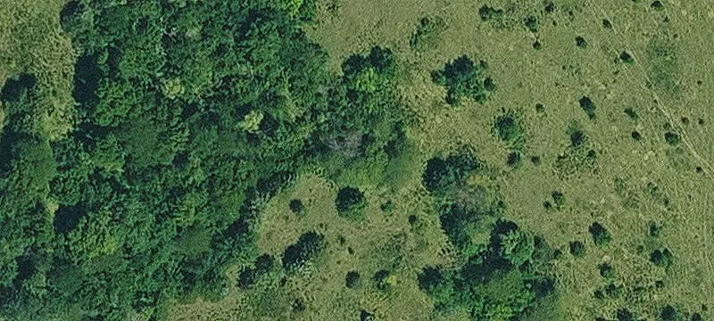 Pasture and Hunting Land