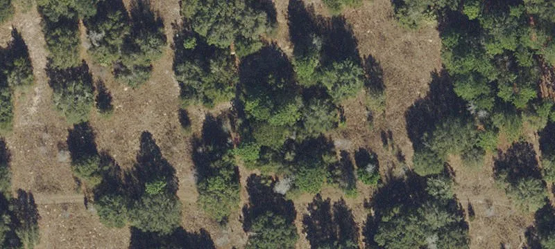 Residential Home Lot