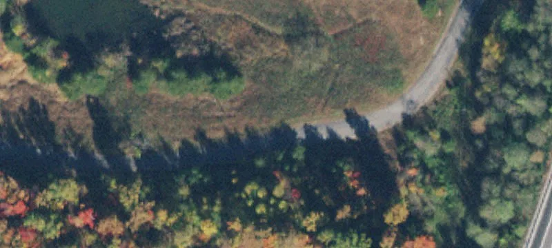 Development Land with Timber