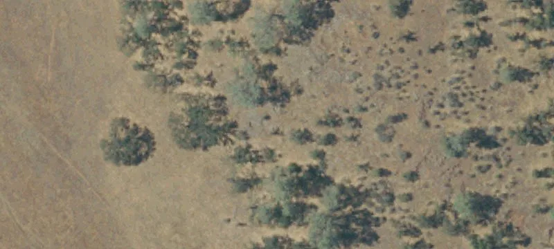 Ranch Acreage with Airstrip
