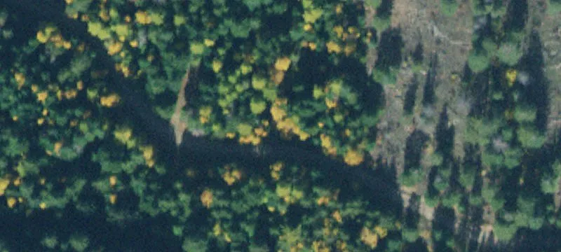Heavily Wooded Recreational Land