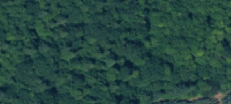 Waterfront Land with Tidelands