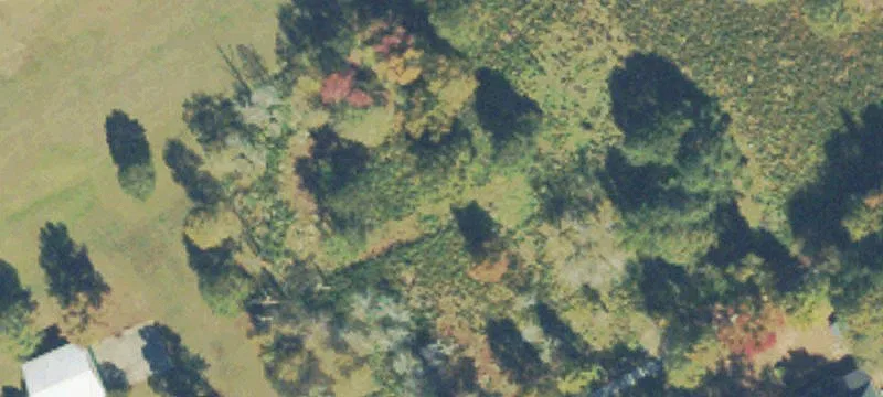 Airport Runway Pasture Land