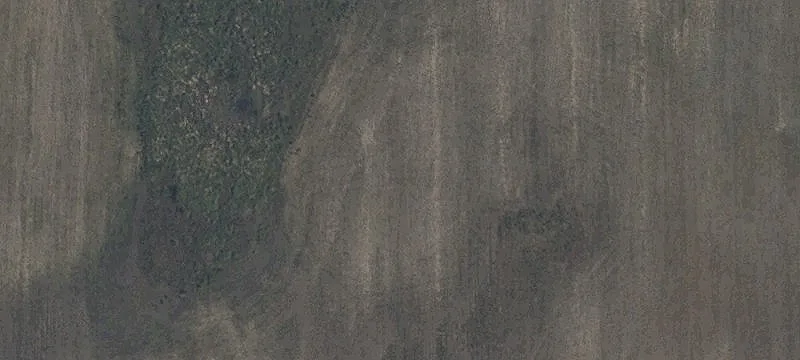 Hunting and Farmland Tract