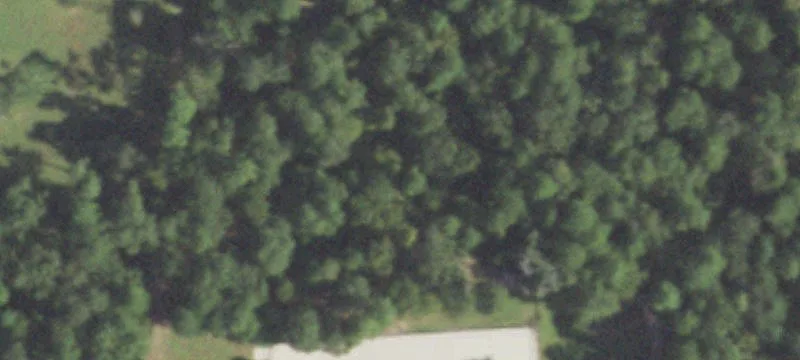 Equestrian Estate with Barn