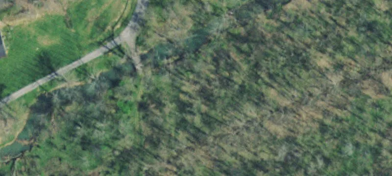 Wooded Waterfront Home Site Land