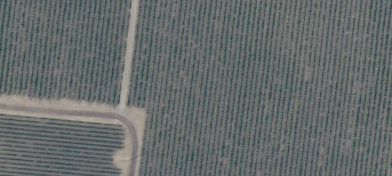 View Acreage with Building Envelope