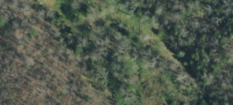 Wooded Residential Development Land