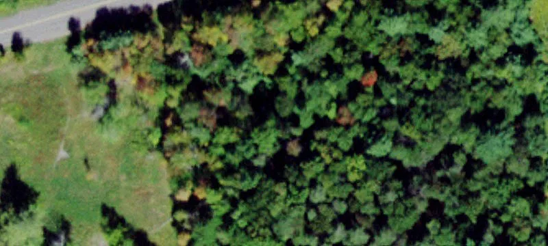 Level Waterfront Adjacent Land Parcel