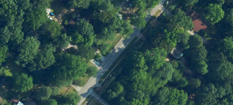 Treed Residential Buildable Lots
