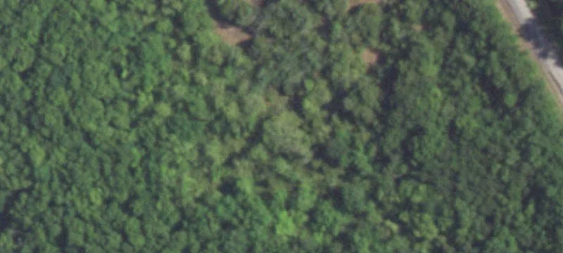 Ranch-Style Acreage with Creek