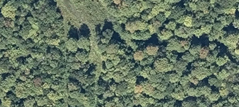 Waterfront Land Parcel