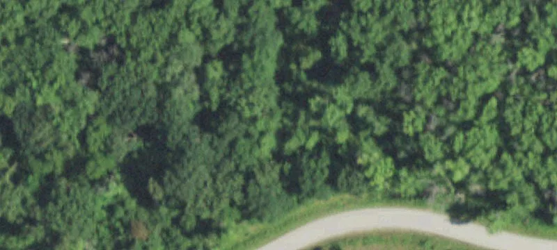 Wooded Residential Land Lot