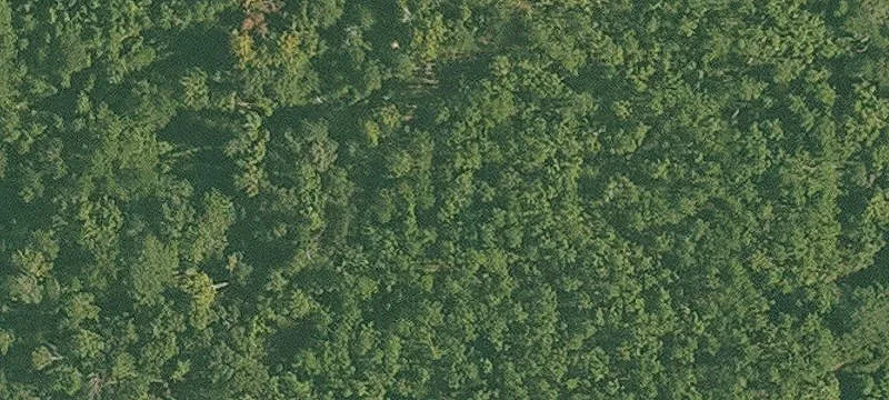 Secluded Country Home Acreage