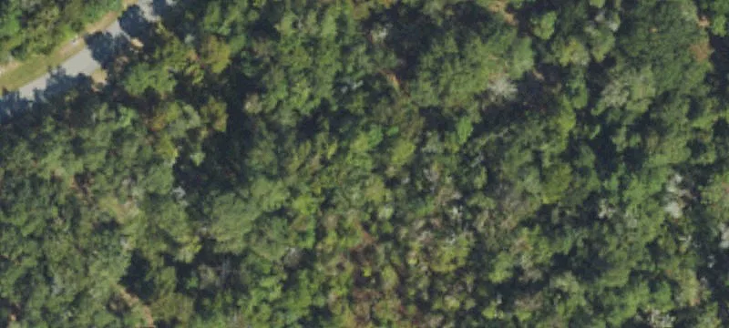 Waterfront Homesite Land Parcel