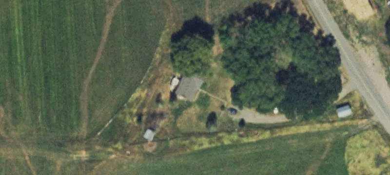 Irrigated Horse Ranch with Water Rights