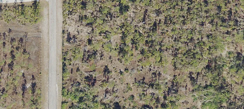 Corner Lot Farmland Acreage