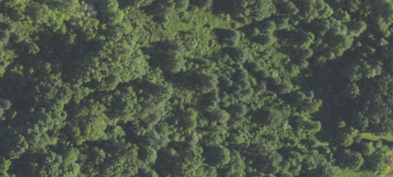 Wooded Recreational Hunting Parcel