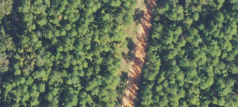 Hunting and Farm Tract with Ponds