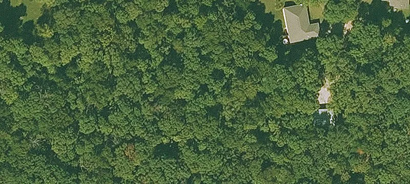 Wooded Residential Development Lot