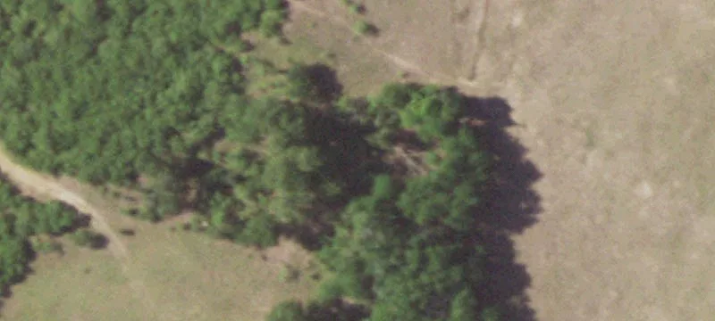 Hunting and Cattle Ranch Land