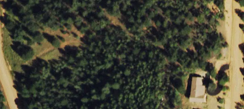 Treed Mountain Home Site