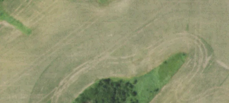 Agricultural Land with Hunting Opportunities