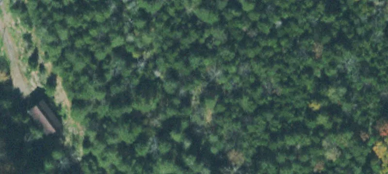 Wooded Land with Natural Springs