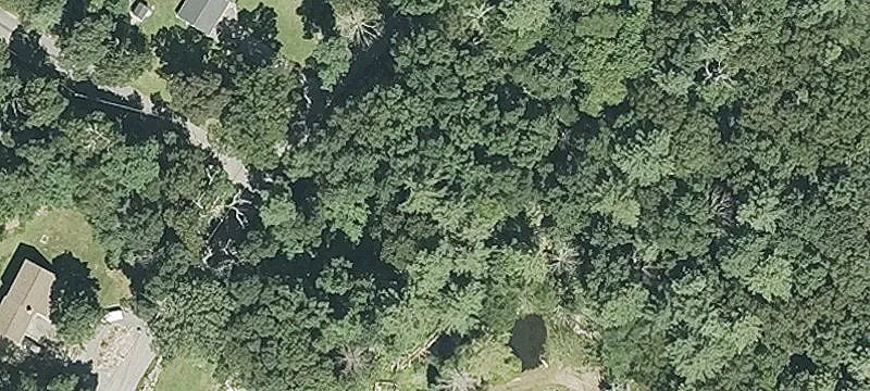 Wooded Residential Land Parcel