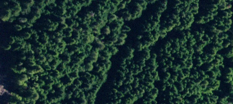Vacant Recreation Land Parcel