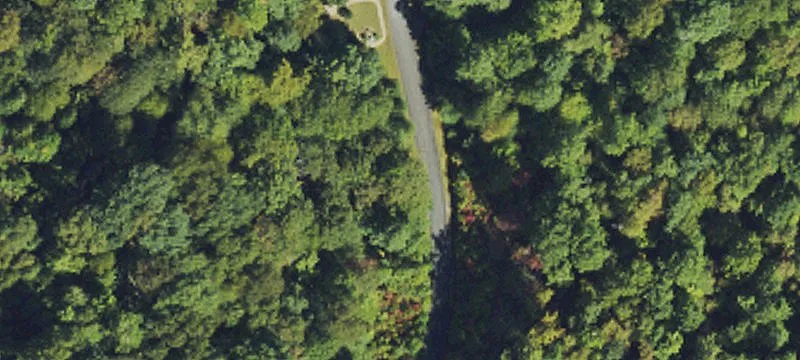 Wooded Mountain View Lot
