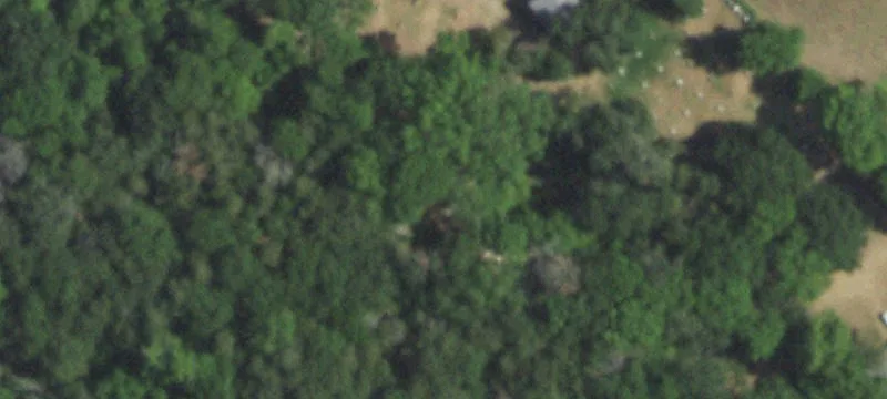 Heavily Wooded Recreational Tract