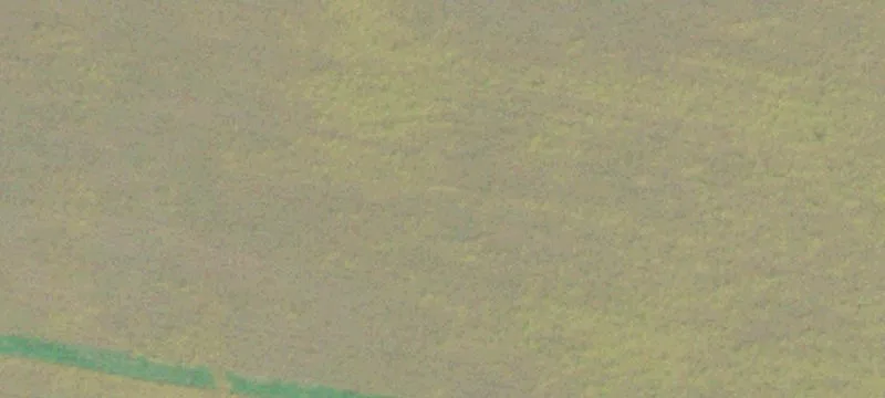 Multi-Use Hunting and Farm Land