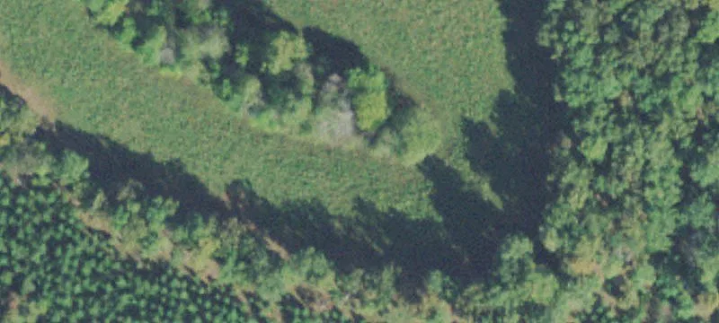 Agricultural Land with Creek Frontage