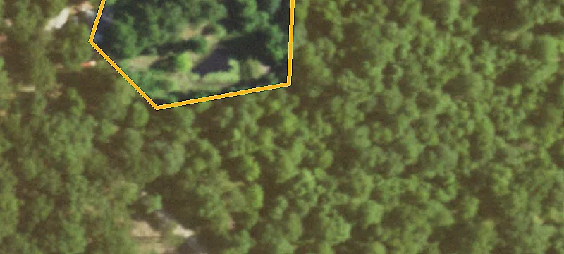 Hunting Land with Mature Woods