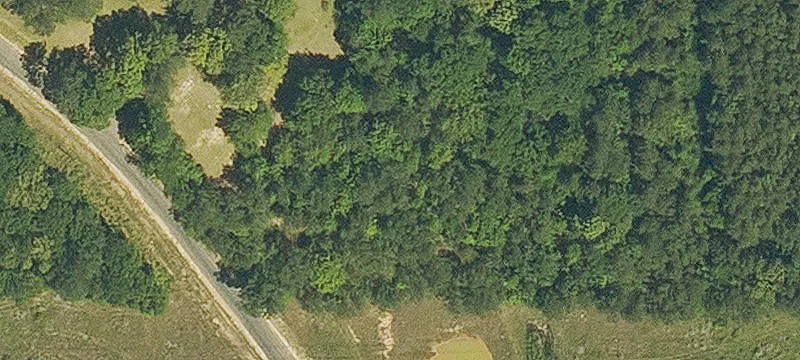 Cleared Build-Ready Home Lot