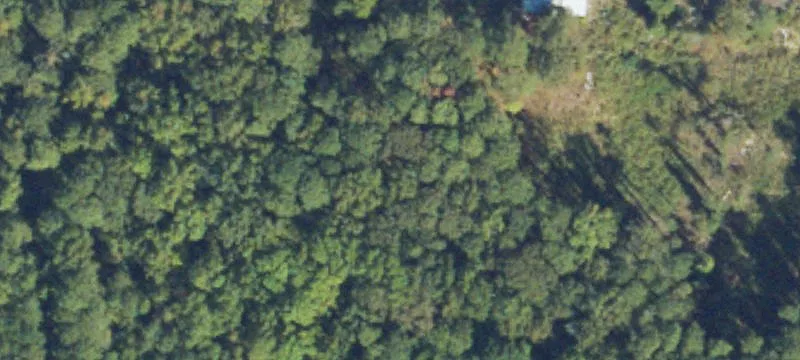 Agricultural Land with Road Frontage