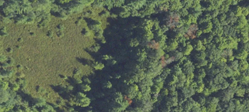 Wooded Recreation Land Parcel