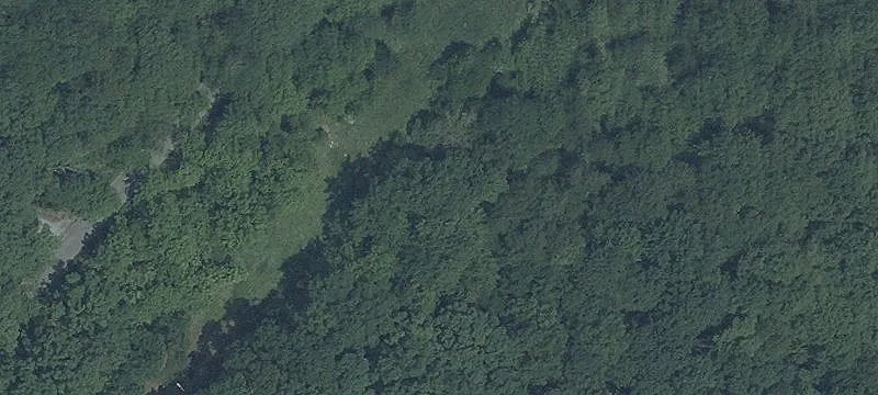 Wooded Residential Land Parcel