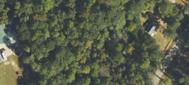 Wooded Residential Land Parcel