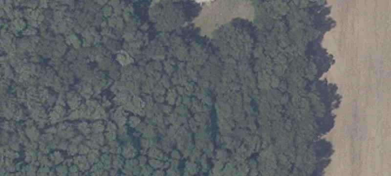 Wooded Land Parcel