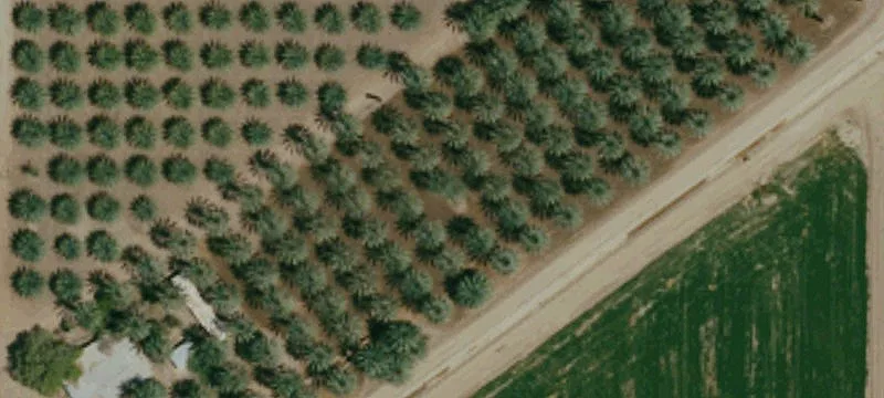 Agricultural Land Parcel