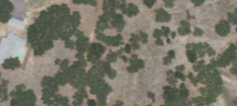 Hill Country Ranch and Livestock Property