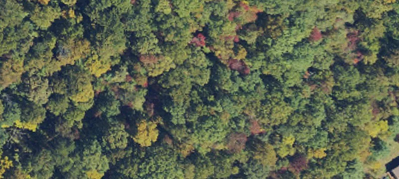 Unrestricted Wooded Land Parcel