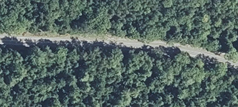 Recreational Hunting Land with Trails