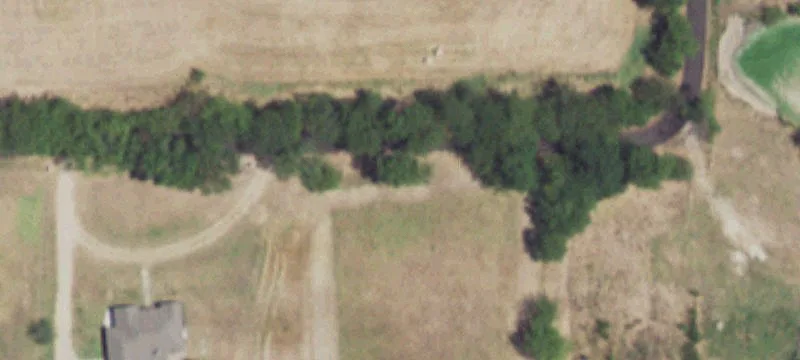 Wooded Recreational Land Tract